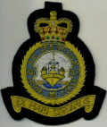RAF BLAZER BADGES - SQNS 101 - 691